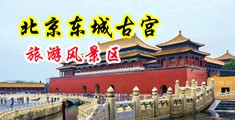 小穴被大鸡巴插出水免费视频中国北京-东城古宫旅游风景区